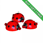 Ladybugs